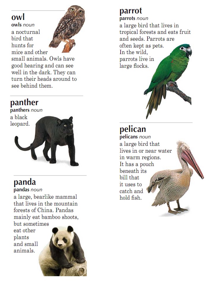 Рассказ о животном на английском языке с переводом 6 класс