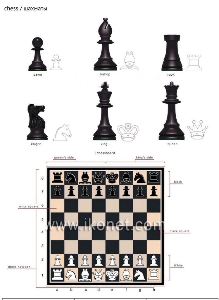 шахматы - chess