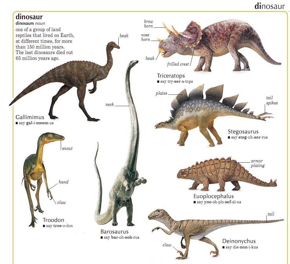 Динозавры названия с картинками