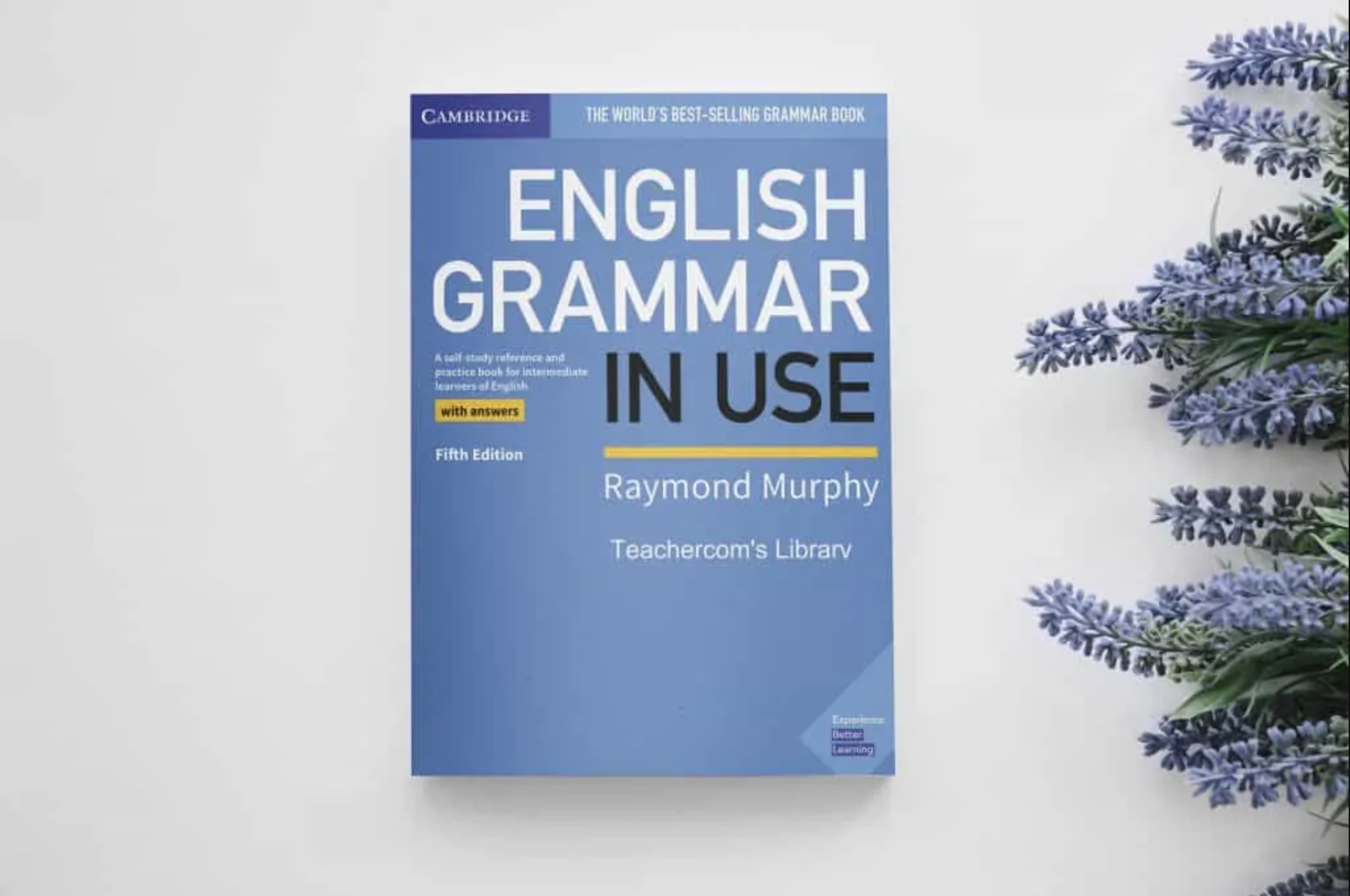 Grammar in use синий. Синий Мерфи. Синий Мерфи Unit. English Grammar in use Fifth Edition. Синий Мерфи 5 издание размер.